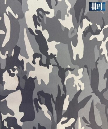 Lower Printed Army Print